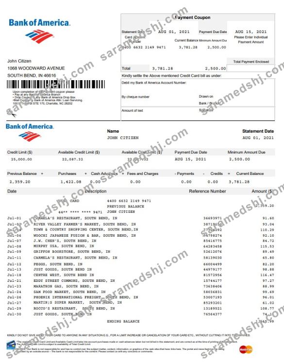 USA Bank of America EXCEL version 5